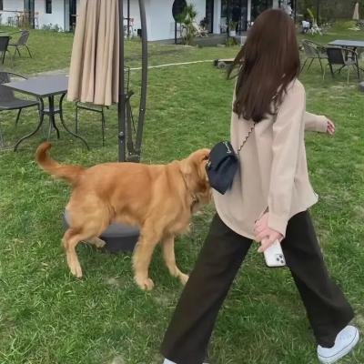 一夜新娘第二部
